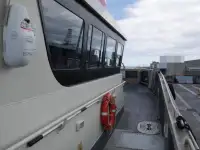 Catamarã à venda