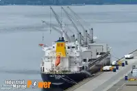 Navio graneleiro à venda