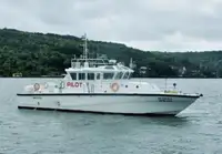 Navio de patrulha à venda