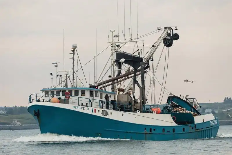 Navio de pesca de cerco à venda