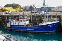 Navio transportador de GNL à venda