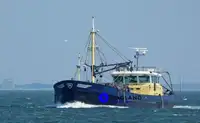 Navio de pesca de arrasto de rede de fundo à venda