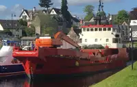 Draga à venda