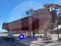 Barcos de trabalho à venda