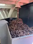 Barcos de trabalho à venda