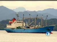 Navio frigorífico à venda