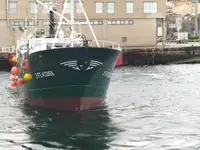 Navio de pesca de arrasto à venda