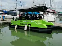Barcos de trabalho à venda