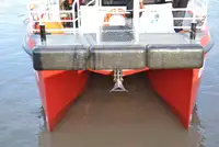 Catamarã à venda
