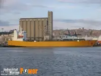 Ro-Ro ship à venda