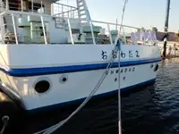 Navio de cruzeiro à venda