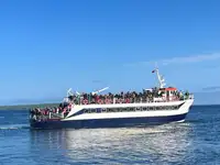 Navio de passageiros à venda