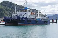 Navio de cruzeiro à venda