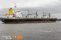 Navio graneleiro à venda