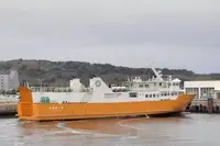 Navio Ro-Ro à venda