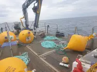 Barcos de trabalho à venda