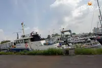 Navio de patrulha à venda