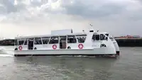 Catamarã à venda