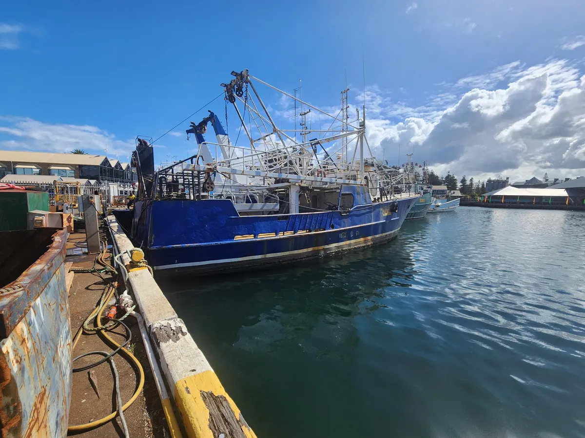 Navio de pesca de arrasto à venda