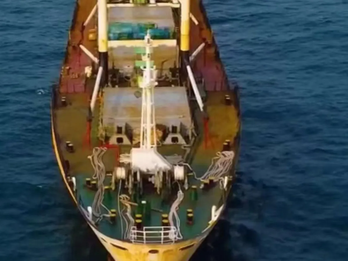 Navio frigorífico à venda