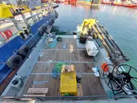 Barcos de trabalho à venda