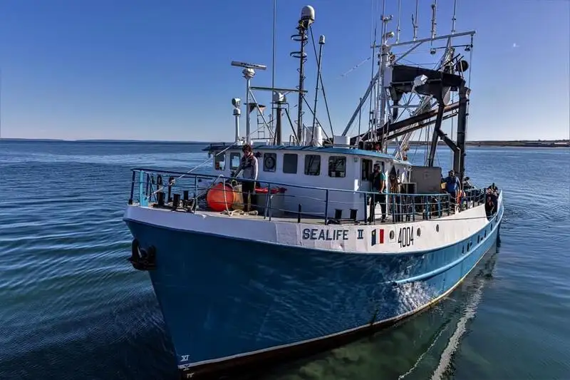 Navio de pesca de cerco à venda