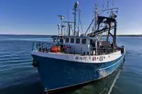 Navio de pesca de cerco à venda