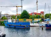 Barcos de trabalho à venda