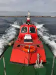 Barco piloto à venda