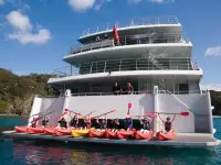 Catamarã à venda
