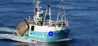 Beam trawler à venda