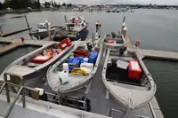 Navio de pesca de arrasto à venda