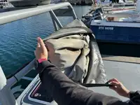 Navio de patrulha à venda