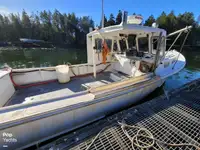 Navio de processamento de peixe à venda
