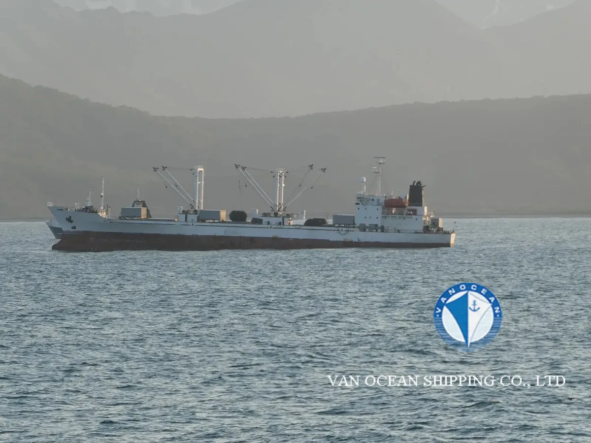 Navio frigorífico à venda