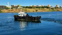 Barcos de trabalho à venda