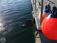 Navio de pesca de arrasto à venda