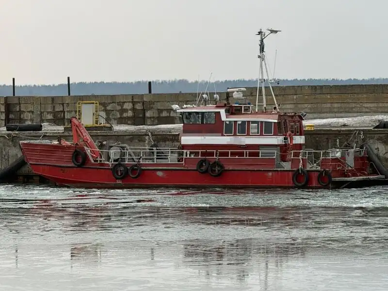 Barcos de trabalho à venda