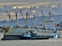 Navio frigorífico à venda