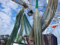 Navio de pesca de arrasto à venda