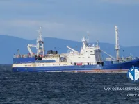 Navio de pesca de arrasto à venda