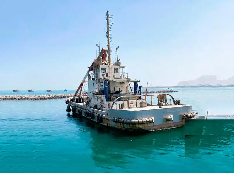 Barcos de trabalho à venda