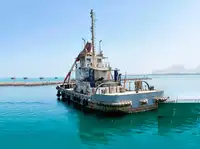 Barcos de trabalho à venda