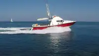 Barcos de trabalho à venda