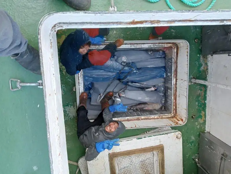 Navio de pesca de arrasto à venda