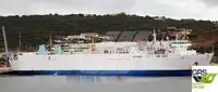 Ro-Ro ship à venda