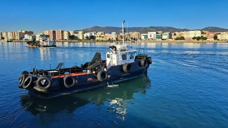 Barcos de trabalho à venda