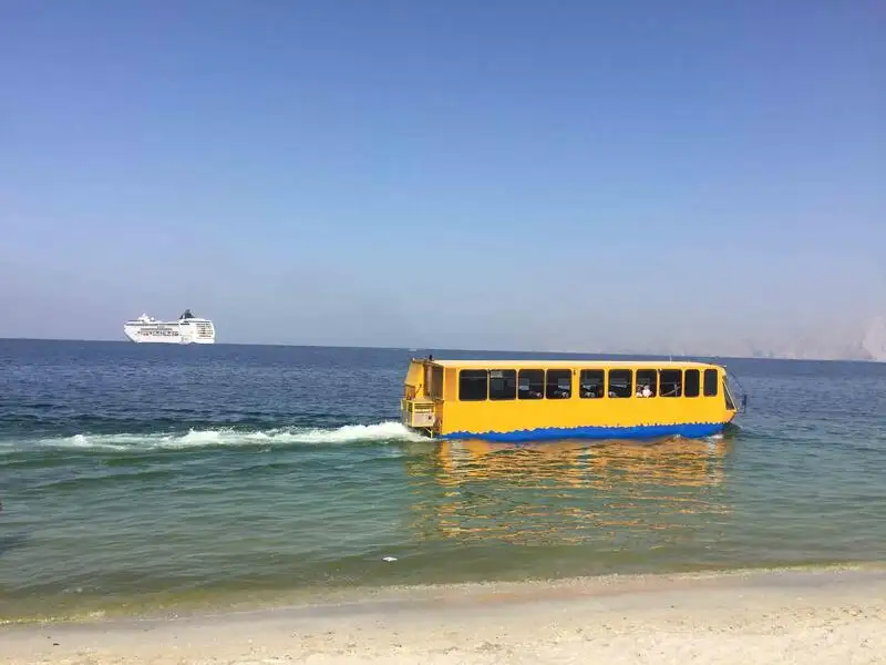Anfíbio à venda