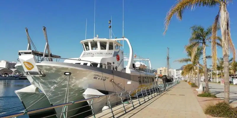 Navio balsa à venda