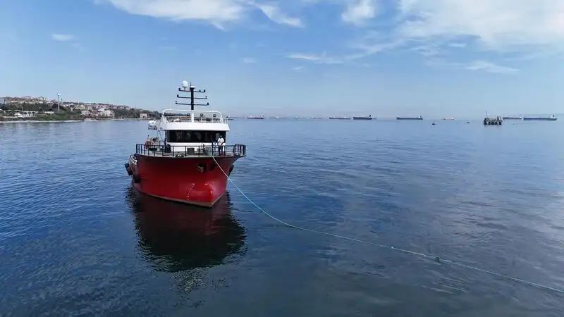 Barcos de trabalho à venda